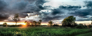 Field trees cloudy sky sunshine - the distance free wallpaper