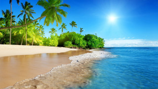 Beach sand palm trees ocean - clear blue water free wallpaper