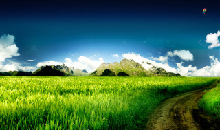 Dirt road green field mountain 4 - a green field free wallpaper for desktop