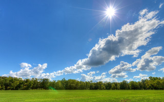 Field bright sun clouds trees - free sky wallpaper