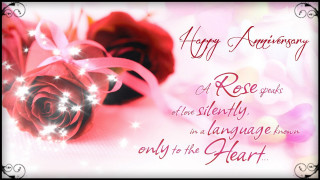 Red rose pink ribbon pink - a pink rose free wallpaper