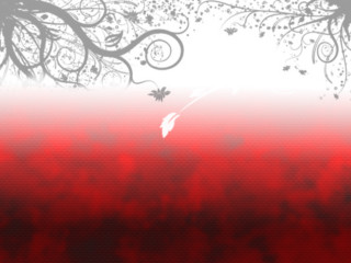 Red white tree bird sunset - modern free wallpaper