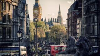City street lion statue clock - christopher wren free wallpaper