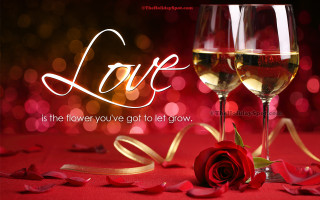 Two wine glasses rose ribbon - a rose free wallpaper