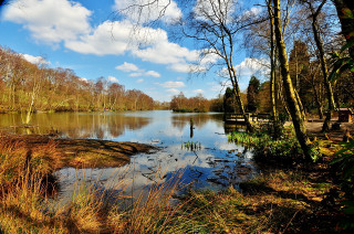 Lake trees grass sky clouds 2 - lake free wallpaper for desktop