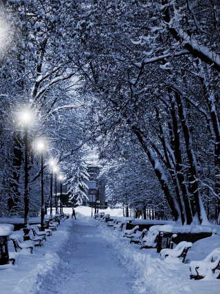 Snowy path benches street lights - free winter wallpaper for mobile