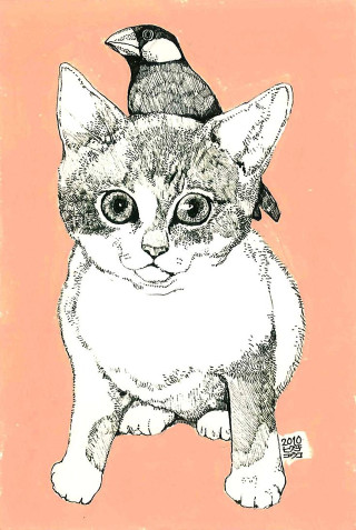 Cat bird on head bird - free cats wallpaper for mobile