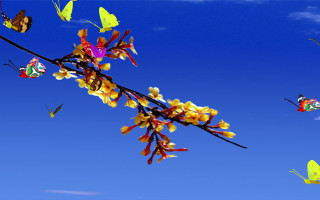 Butterflies tree branch yellow flowers - chang daichien free wallpaper