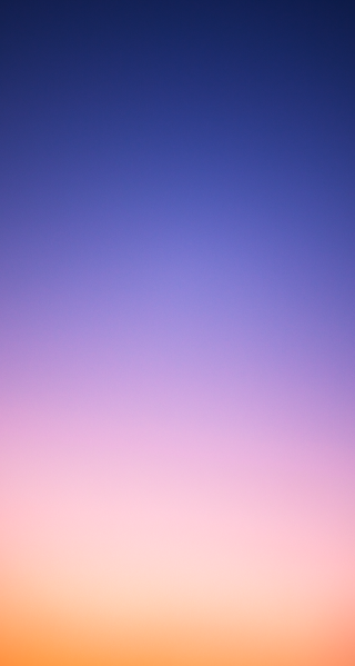 Sunset plane flying foreground background - free sky wallpaper for mobile