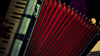 Red accordion closeup person yellow - brassaï free wallpaper