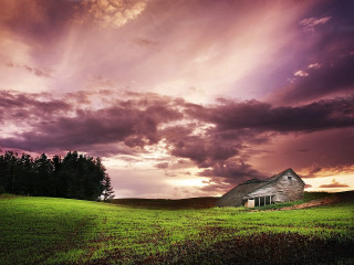House field cloudy sky tree - free sky wallpaper for desktop