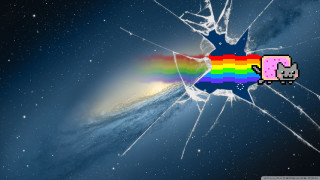 Broken window rainbow cat sill - a broken window free wallpaper