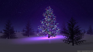 Christmas tree snow night purple 3 - volumetric free wallpaper