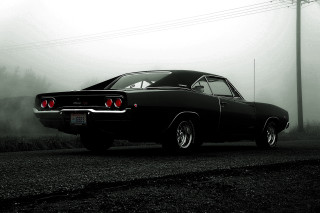Black car foggy road night - the headlight free wallpaper for desktop