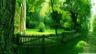 Green landscape wooden fence tree - a green landscape free wallpaper