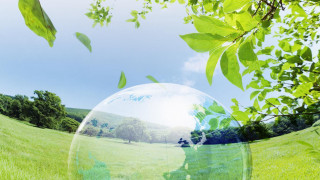 Bubble field trees person foreground - a bubble free wallpaper for desktop