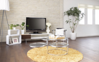 Living room television rug plant 2 - unreal engine free wallpaper for desktop