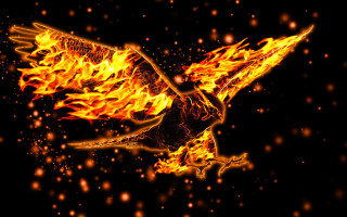 Bird flame pattern flying wings - its wing free wallpaper