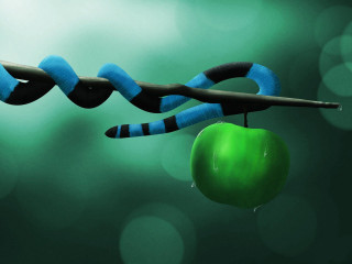Green apple black blue snake - a green apple free wallpaper