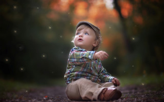 Little boy woods looking up - a little boy free wallpaper
