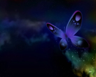 Butterfly flying sky stars blue - a butterfly free wallpaper