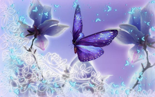 Purple butterfly blue flower glowing - white flower free wallpaper