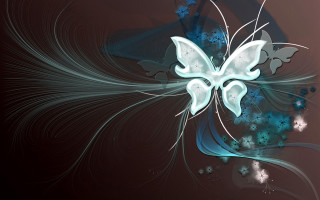 Blue white butterfly black background - butterfly free wallpaper for desktop