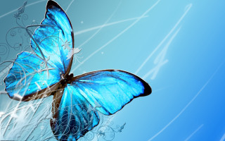 Blue butterfly flying air background - a blue butterfly free wallpaper