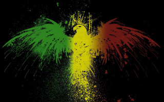 Colorful bird black yellow green - wing free wallpaper