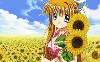 Girl holding sunflower field sky - a girl holding free wallpaper