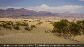 Desert trees mountains sky clouds - a desert free wallpaper