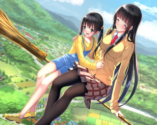 Anime girls broom field flowers - giantess art free wallpaper