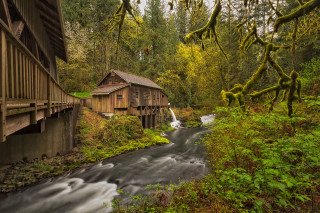 Wooden bridge river forest building - a forest free wallpaper for desktop