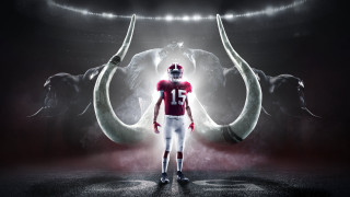 Man football uniform bull horns - a bull free wallpaper