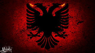 Red flame bird silhouette blood - edi rama free wallpaper