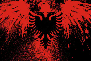 Red black bird silhouette fire - large wing free wallpaper