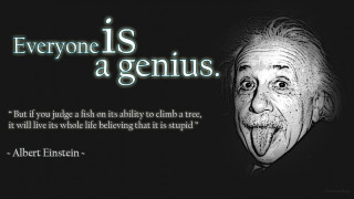 Albert einstein quote genius intelligence - free stars wallpaper for desktop