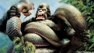 Gorilla holding snake background gorilla - a snake free wallpaper