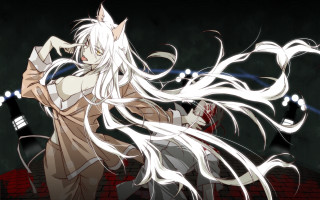 Woman white hair sword demon - a white tail free wallpaper for desktop