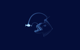 Fish swimming water night light - lostfish free wallpaper for desktop