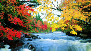Hudson river autumn leaves impressionist - the background and a stream free wallpaper