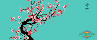 Cherry blossom tree arizona cloisonnism - pink flower free wallpaper