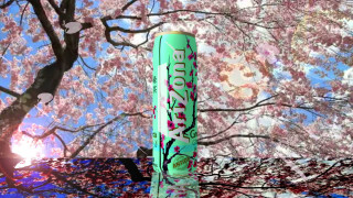 Green tube liquid tree pink - front of a tree free wallpaper