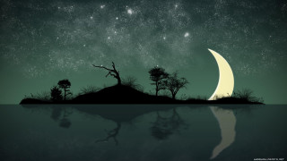 Night scene half moon trees - a night scene free wallpaper