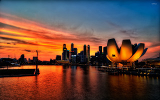 City skyline yellow flower water - adrian zingg free wallpaper
