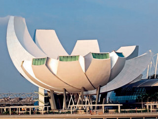 Large white building flower top - a large flower free wallpaper