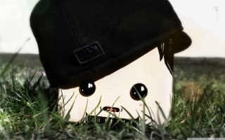 Stuffed animal hat grass wide - eye wide open free wallpaper