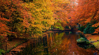 Boat water forest orange leaves - impressionism free wallpaper