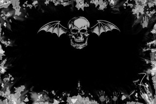 Bat skull black background white - the middle free wallpaper