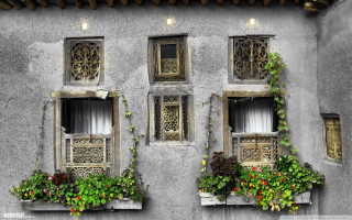 Building windows plants lights growing - detail free wallpaper for desktop